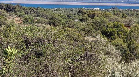 17703885946985fc727d770