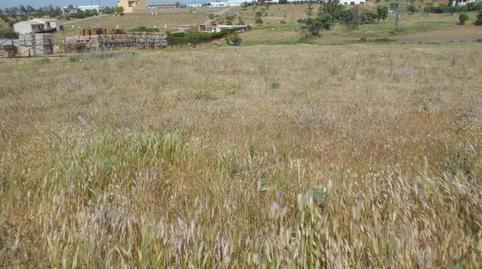 1770395864698618d8603a5