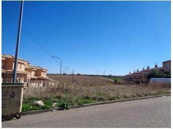 1770395866698618dad6199