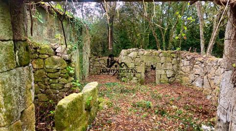 1770407072698644a062073