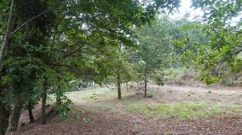 177040903869864c4e9f6cb