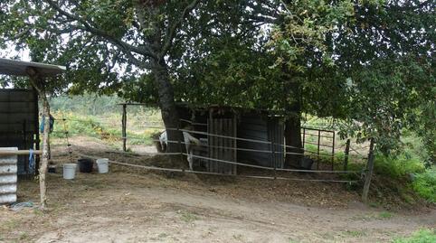 177040904069864c50cb04f