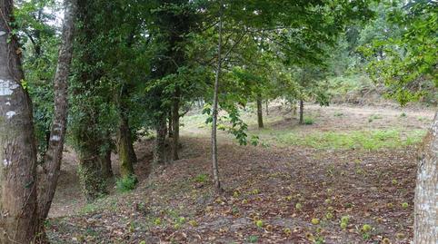 177040904369864c53502cb