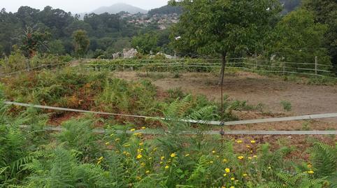 177040904569864c55bacc2