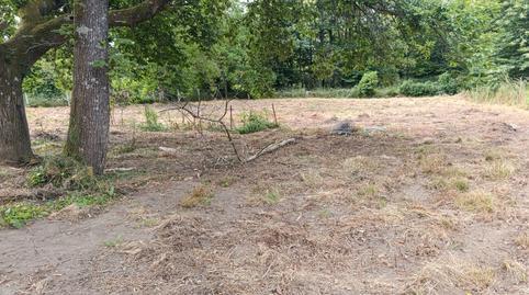 1770411714698656c2ed3c9