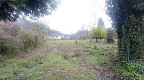 17704141026986601653c24