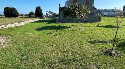 17704547496986fedd3f802