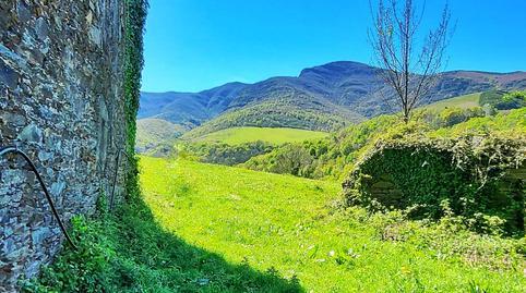 17704549216986ff894b331