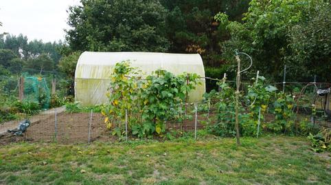 177045504269870002c27bd