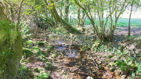 177045541169870173b2ec8