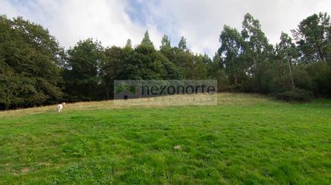 1770455464698701a899d3d