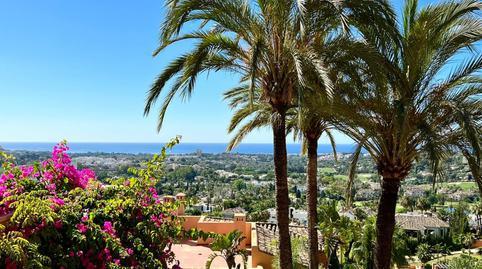 1770464146698723928f85b