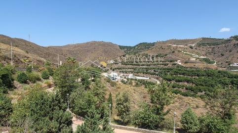 1770464718698725cee2bab