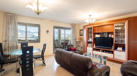 177046823069873386afbbd