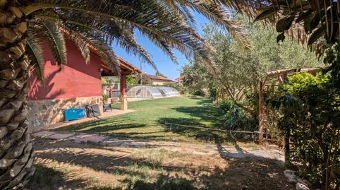 177047517469874ea646b55