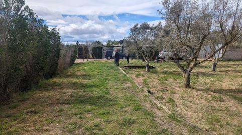 17704806696987641d0506e