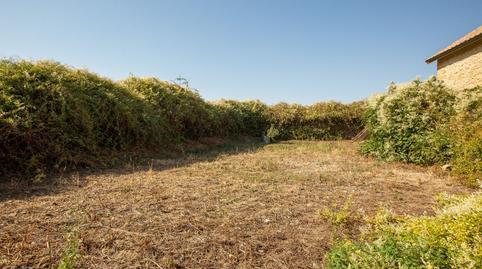 177048283969876c974fcef